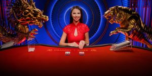 Khám phá thông tin chung về Dragon and Tiger