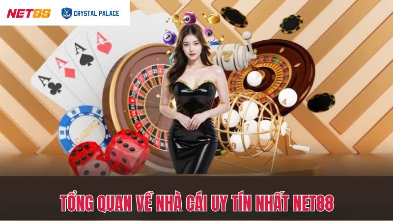 Tổng quan về thương hiệu cá cược nổi tiếng Net88